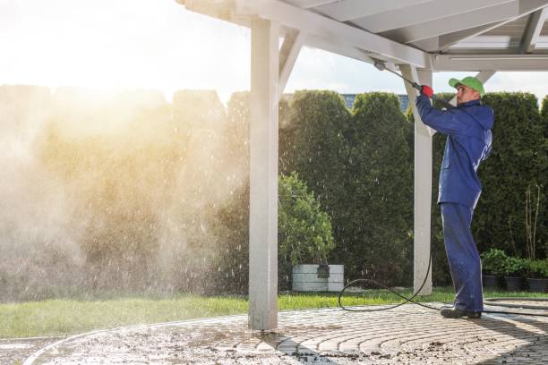 Solar Panel Cleaning in Farmer City, IL